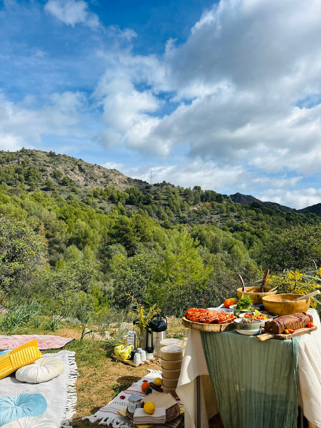 Wellness Picnic Experience