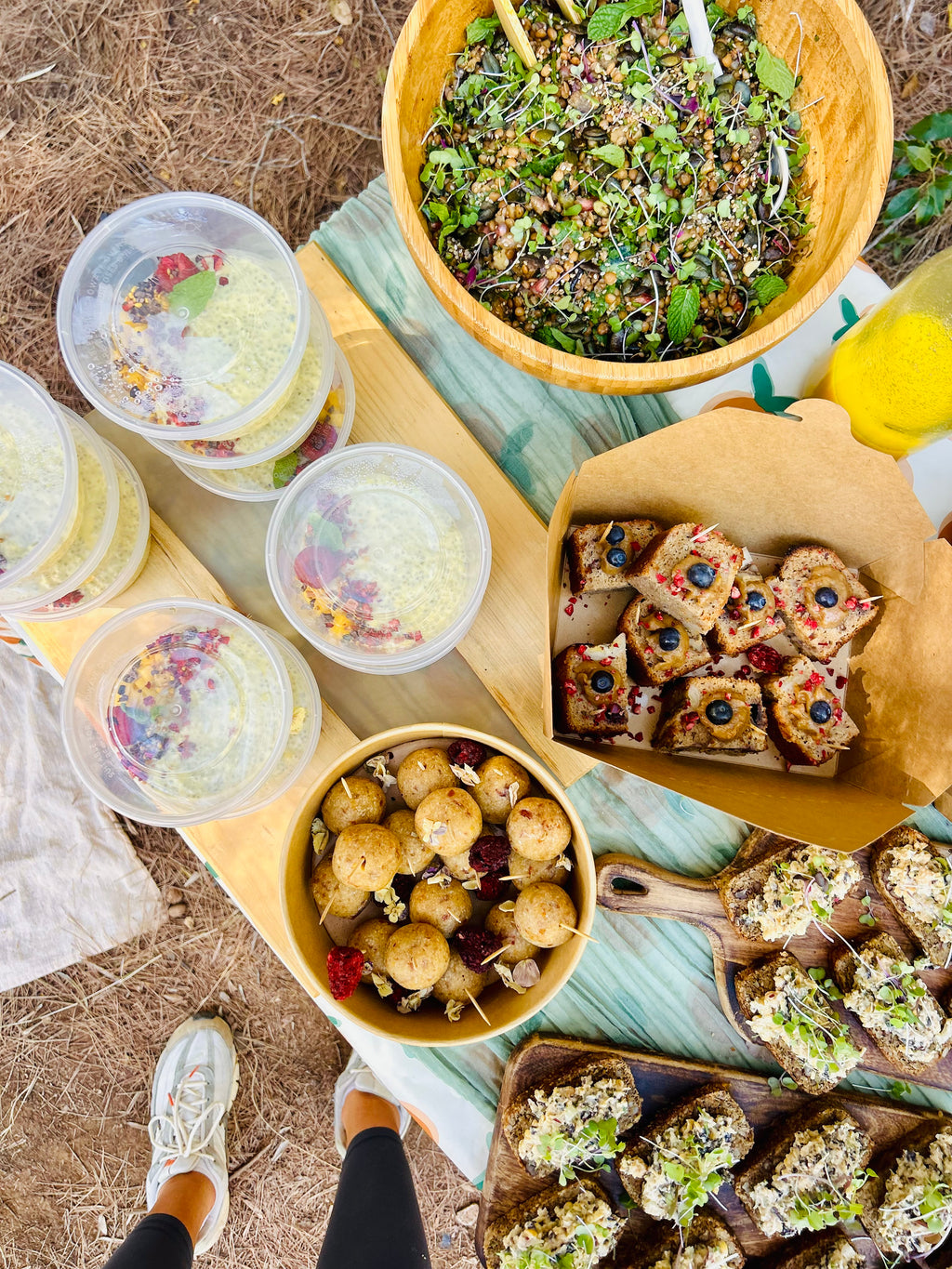 Wellness Picnic Experience